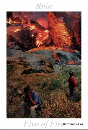 Nature Tarot by Jan Strube